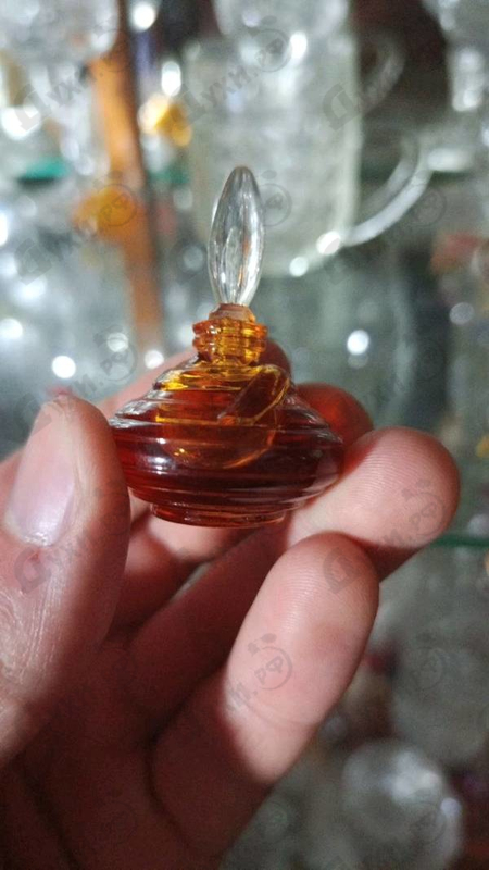 Духи Fantasme от Ted Lapidus