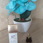 Парфюм Thierry Mugler Alien Essence Absolue