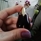 Отзывы Thierry Mugler Alien Essence Absolue