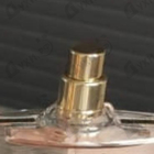Отзывы Trussardi Delicate Rose
