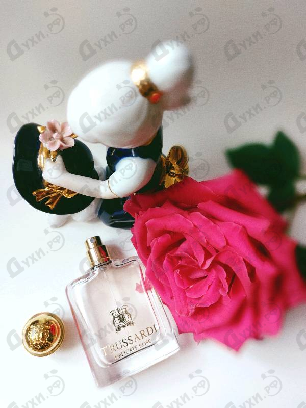 Купить Trussardi Delicate Rose