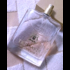 Духи Delicate Rose от Trussardi Купить Trussardi Delicate Rose