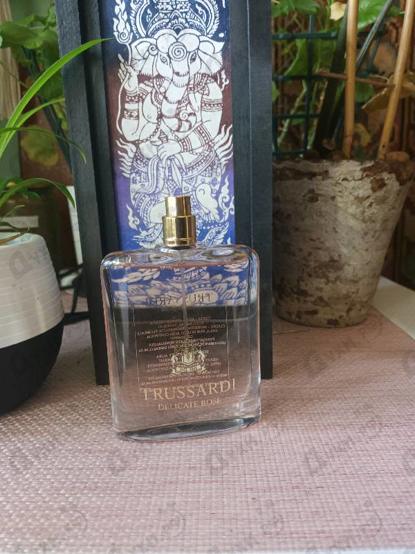 Парфюмерия Delicate Rose от Trussardi