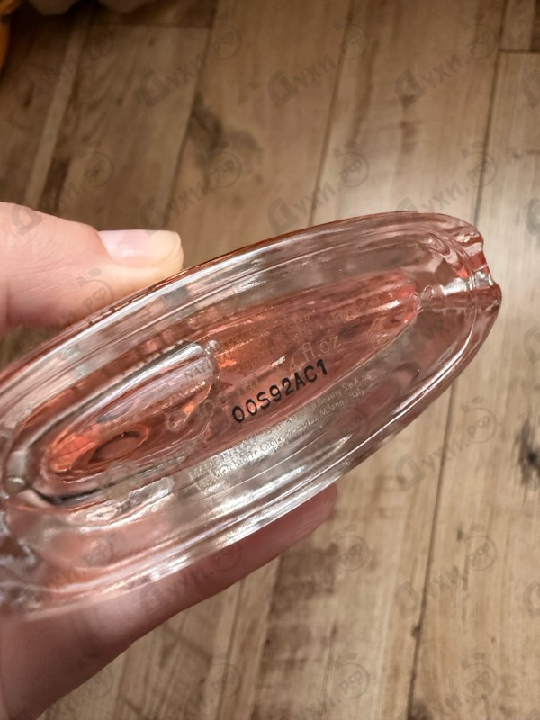 Купить Delicate Rose от Trussardi