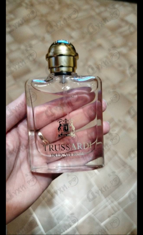 Купить Delicate Rose от Trussardi