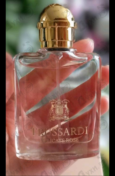 Купить Delicate Rose от Trussardi