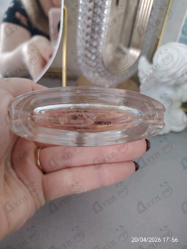 Парфюмерия Trussardi Delicate Rose