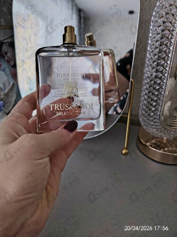 Отзывы Trussardi Delicate Rose