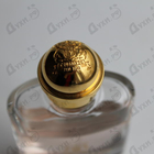 Отзывы Trussardi Delicate Rose