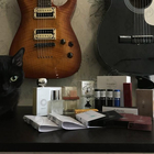 Отзывы Undergreen White