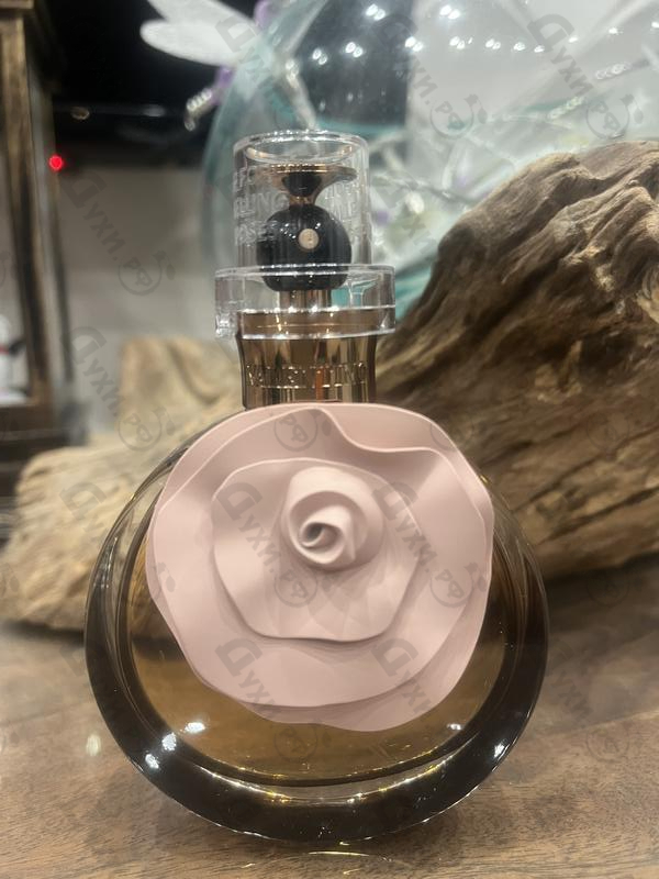 Купить Valentino Valentina Assoluto Парфюмерия Valentina Assoluto от Valentino