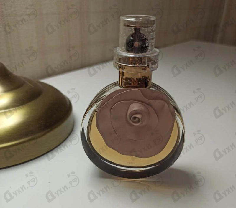 Парфюмерия Valentina Assoluto от Valentino Отзывы Valentino Valentina Assoluto