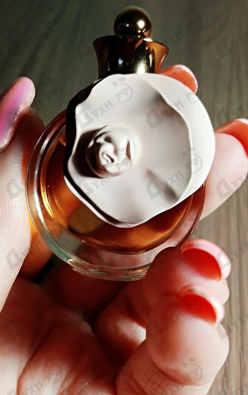 Отзывы Valentino Valentina Assoluto