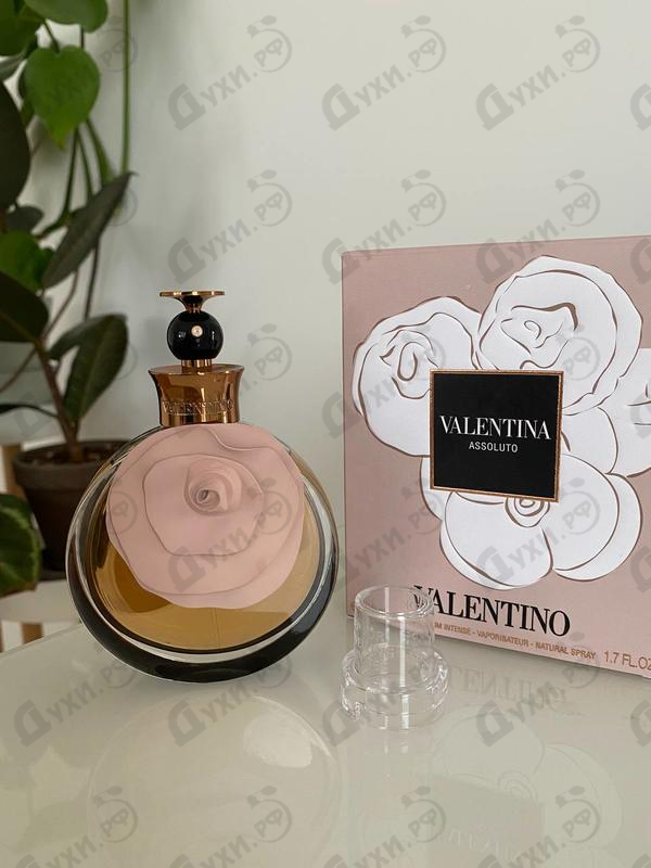 Купить Valentina Assoluto от Valentino