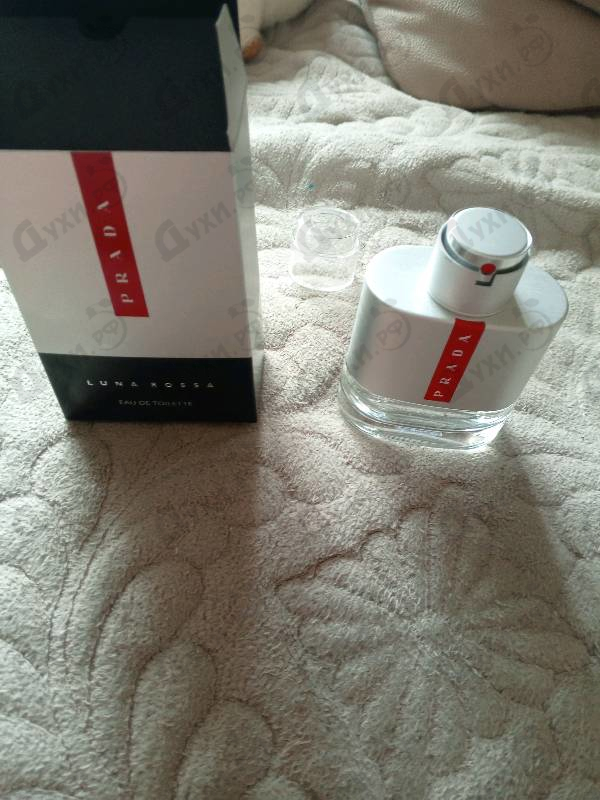 Купить Luna Rossa от Prada