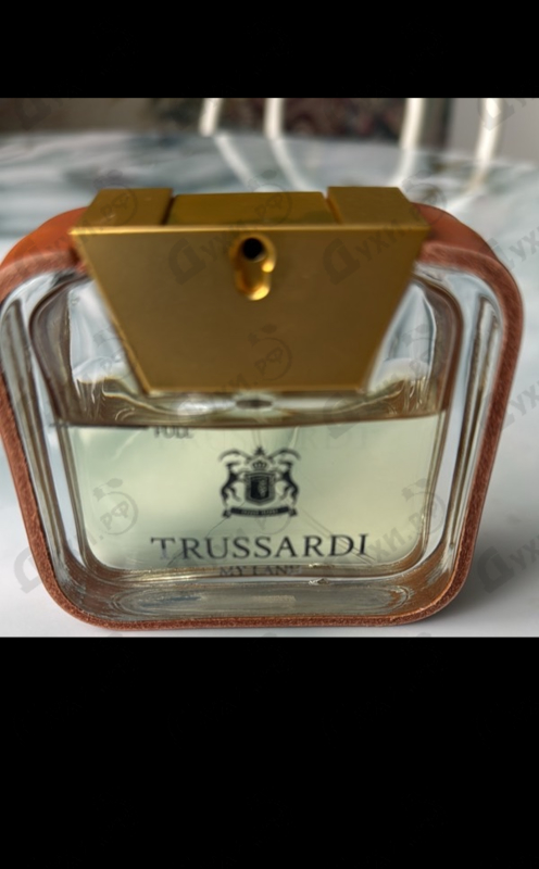 Купить My Land от Trussardi