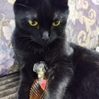 Духи Diva от Emanuel Ungaro