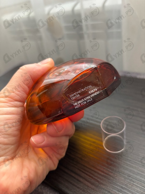 Купить L'ambre Des Merveilles от Hermes