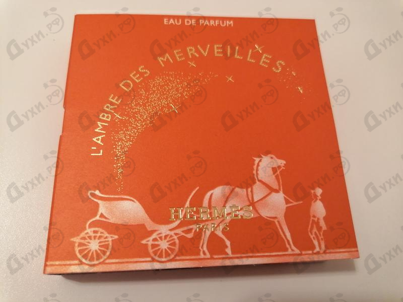 Купить L'ambre Des Merveilles от Hermes