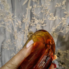 Отзыв Hermes L'ambre Des Merveilles