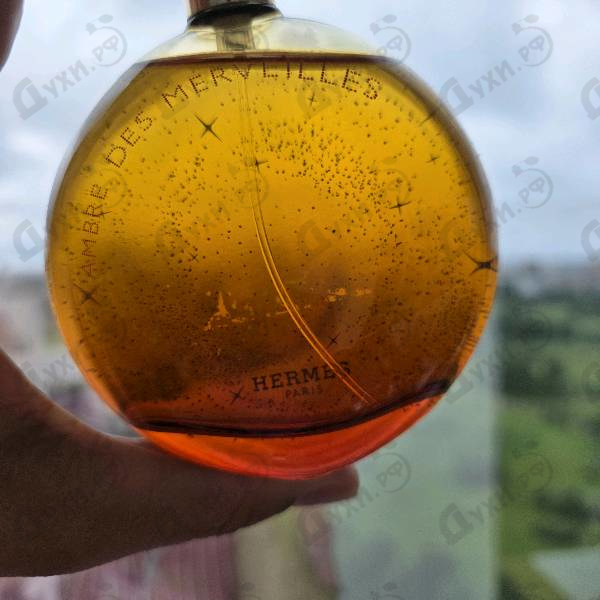 Отзыв Hermes L'ambre Des Merveilles