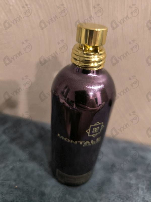 Парфюмерия Montale Dark Purple