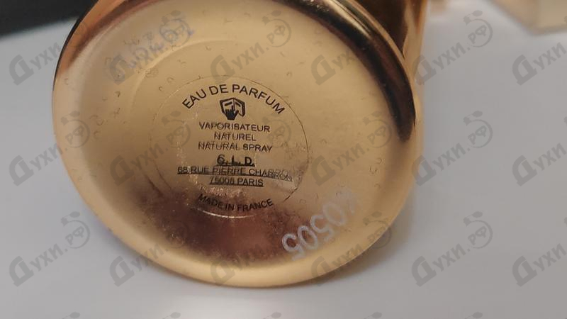 Парфюмерия Dark Purple от Montale