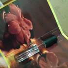 Духи Dark Purple от Montale