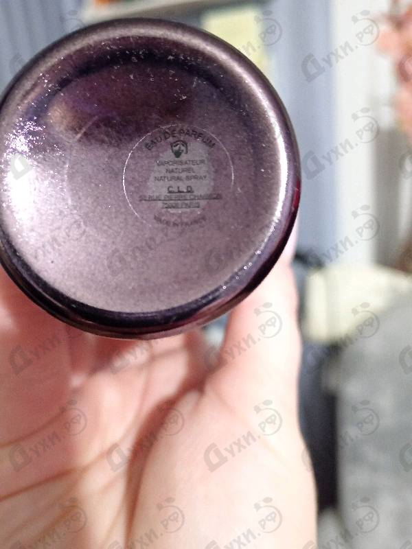 Купить Dark Purple от Montale