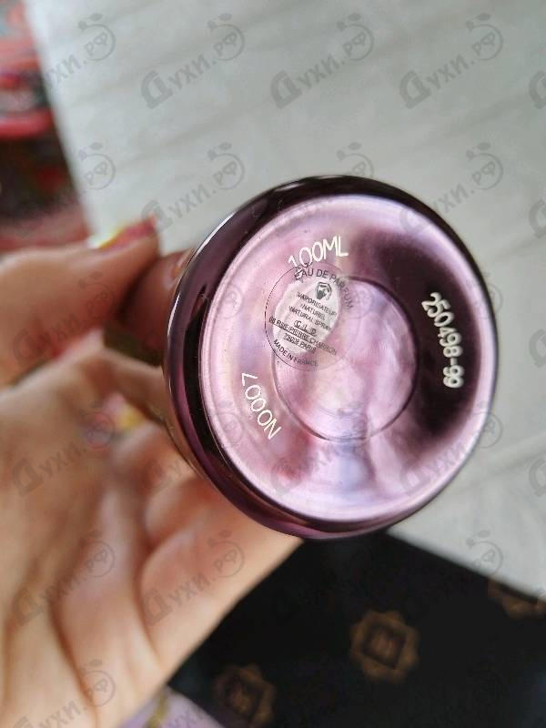 Духи Dark Purple от Montale