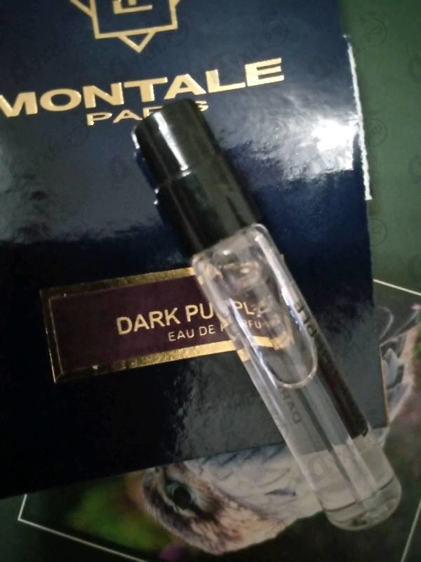 Парфюмерия Dark Purple от Montale