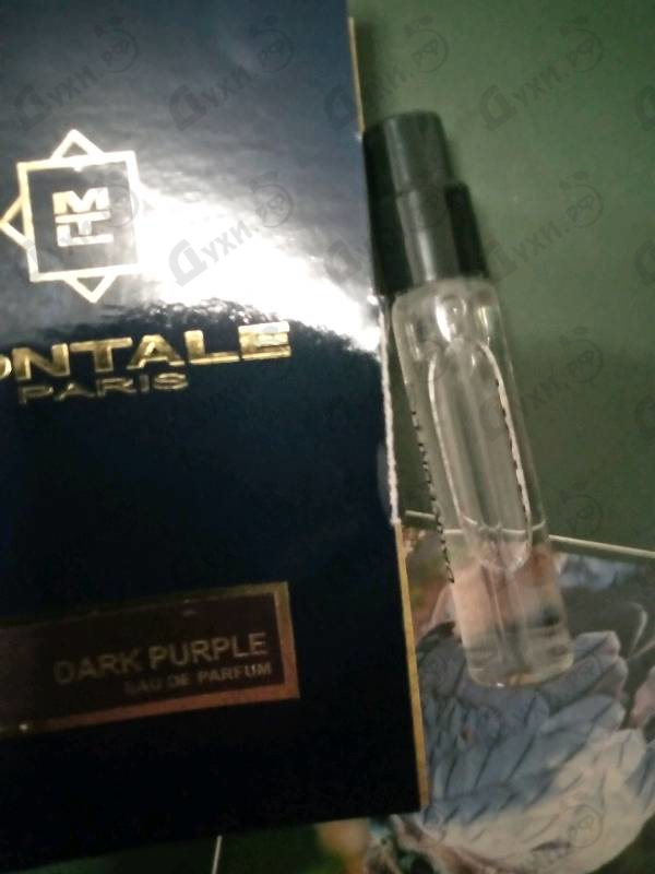 Купить Dark Purple от Montale