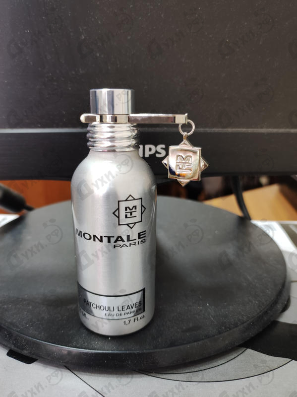 Купить Patchouli Leaves от Montale