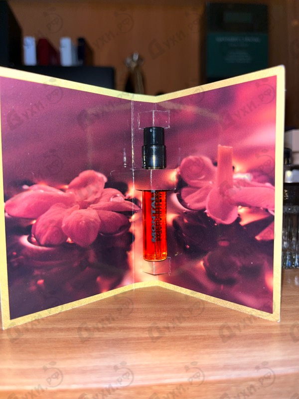 Отзывы Montale Patchouli Leaves