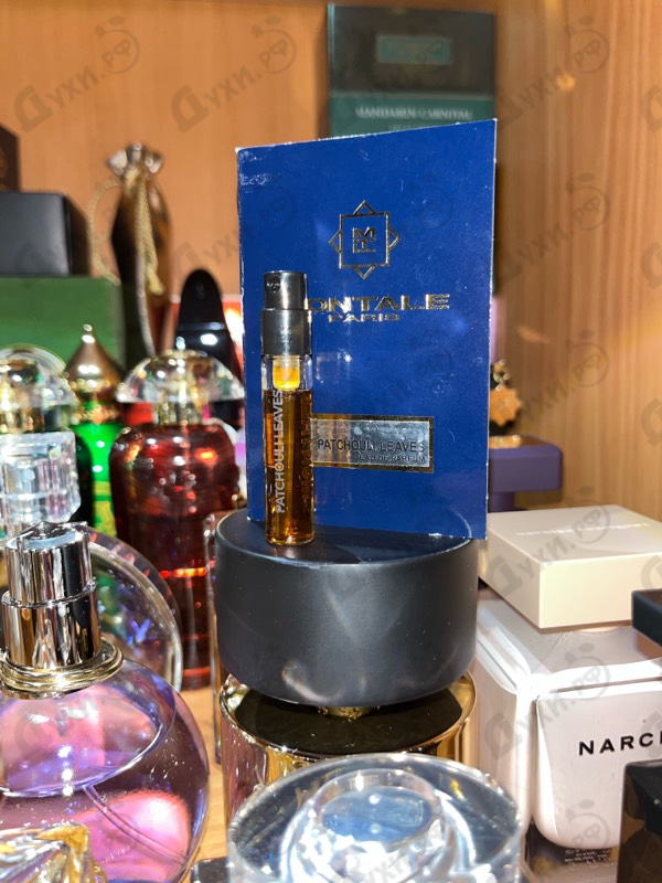 Купить Patchouli Leaves от Montale