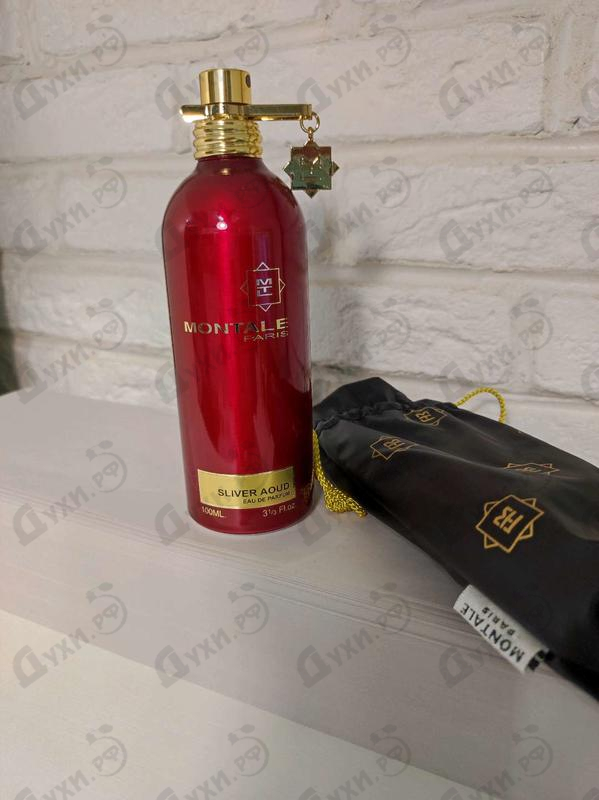 Купить Sliver Aoud от Montale