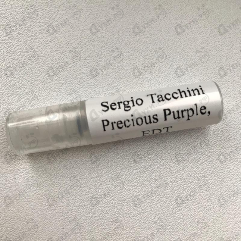 Купить Precious Purple от Sergio Tacchini