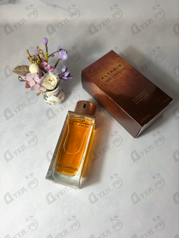 Купить Altamir от Ted Lapidus Отзывы Ted Lapidus Altamir