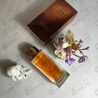 Отзыв Ted Lapidus Altamir