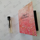 Отзывы Agent Provocateur Petale Noir