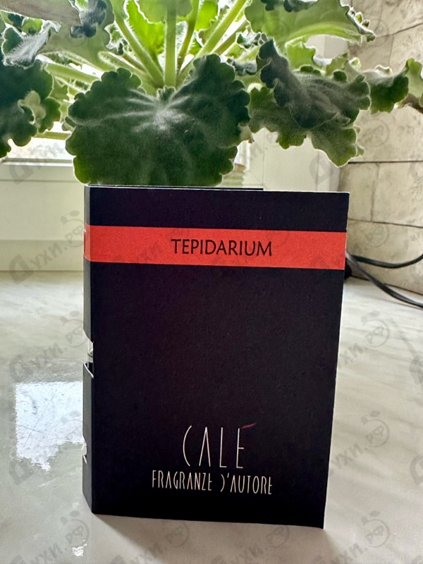 Парфюмерия Cale Fragranze d’Autore Tepidarium