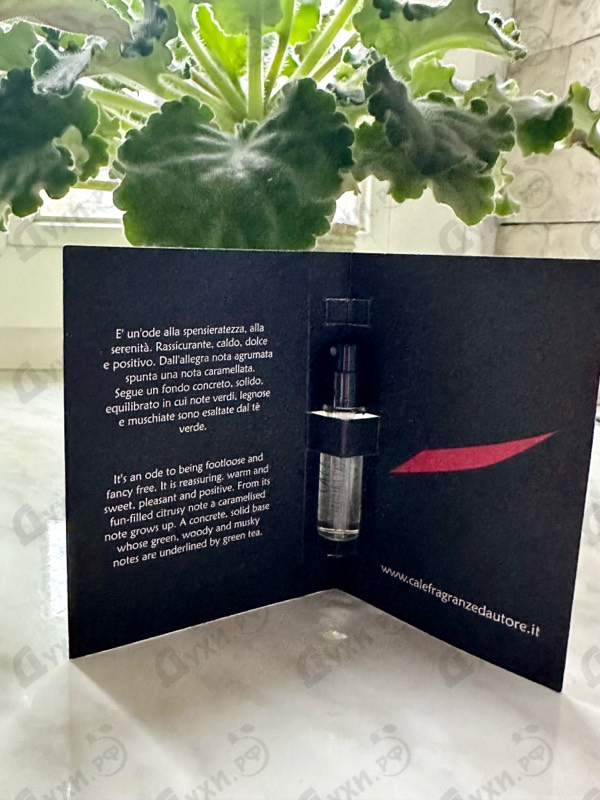 Отзывы Cale Fragranze d’Autore Tepidarium