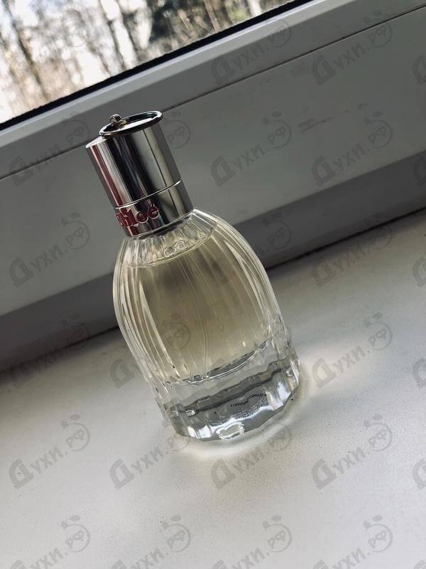 Отзывы Chloe See By Chloe