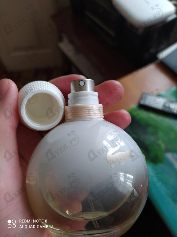 Купить Eau De Lacoste от Lacoste Парфюмерия Lacoste Eau De Lacoste