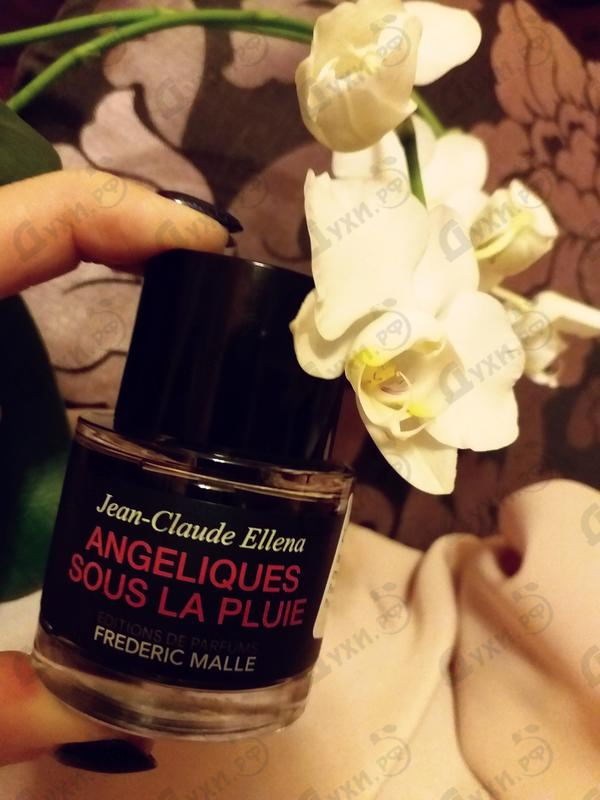 Купить Frederic Malle Angeliques Sous La Pluie