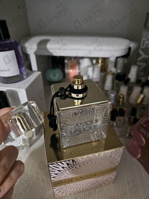Отзывы Lalique L'amour