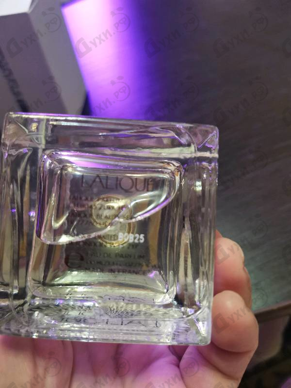 Отзывы Lalique L'amour