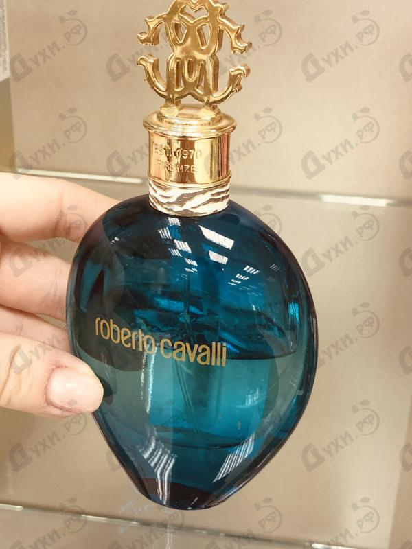 Купить Acqua от Roberto Cavalli