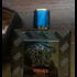 Отзывы Versace Eros