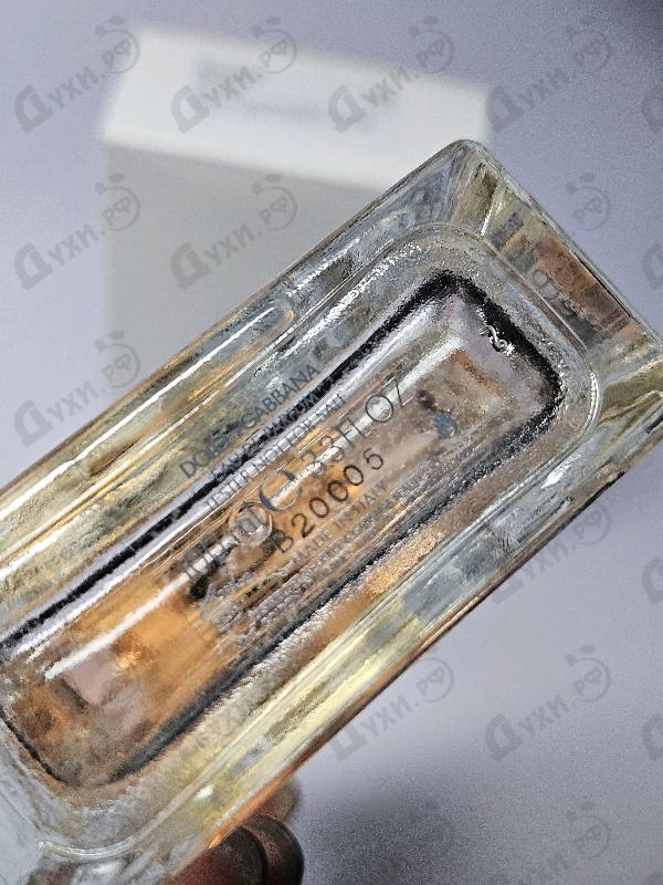 Купить Pour Femme (2012) от Dolce & Gabbana